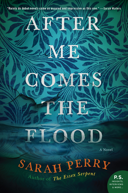 After Me Comes the Flood cover image cdn