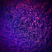 All i need cover image cdn