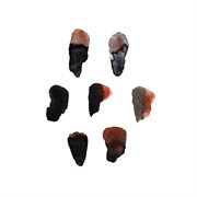 Berlin booty cover image cdn