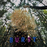 Burst cover image cdn