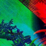 Escaped the self / void of self cover image cdn