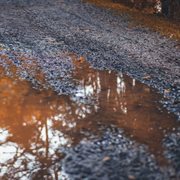 Next chapter cover image cdn