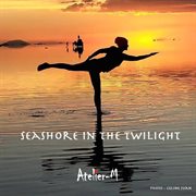 Seashore in the twilight cover image cdn