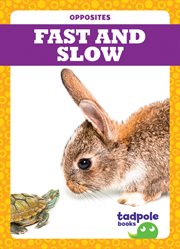 Fast and slow cover image cdn