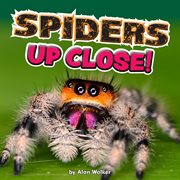 Spiders up close cover image cdn