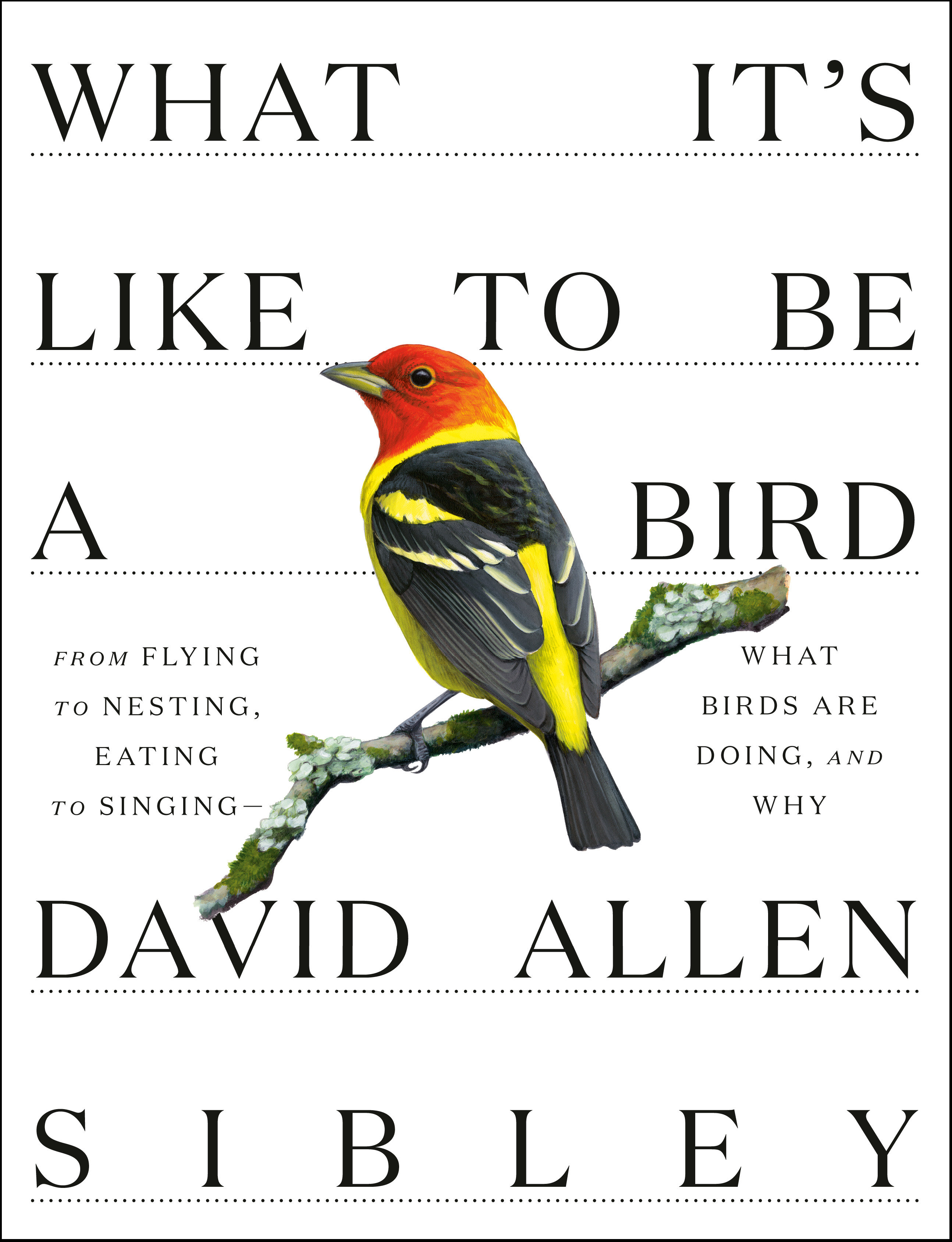 What It's Like to Be a Bird From Flying to Nesting, Eating to Singing--What Birds Are Doing, and Why cover image cdn