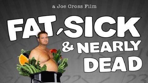 Fat, Sick and Nearly Dead cover image cdn