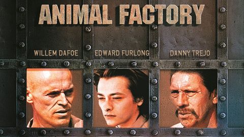 Animal Factory cover image cdn