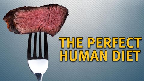 Perfect Human Diet cover image cdn