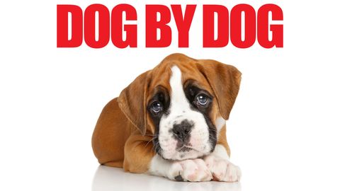 Dog By Dog cover image cdn