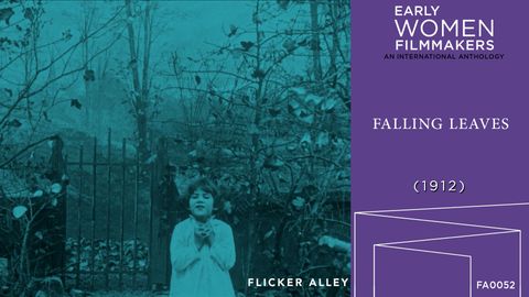 Falling Leaves cover image cdn