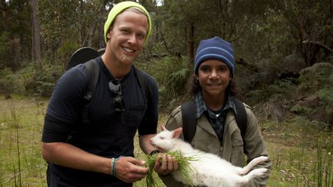 Bushwhacked! - Series 1. Episode 1, Tasmanian Devil cover image cdn