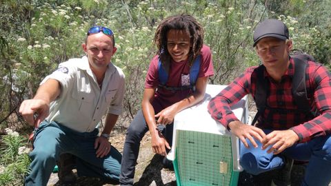 Bushwhacked! - Series 3. Episode 10, Wolf Spider cover image cdn