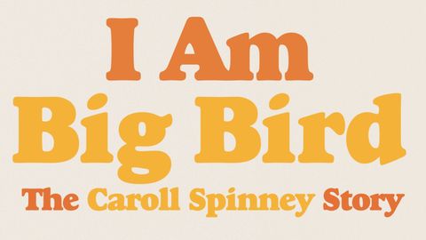 I Am Big Bird cover image cdn