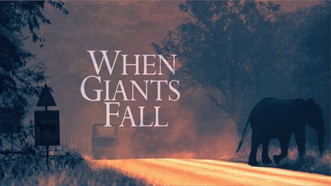 When Giants Fall cover image cdn