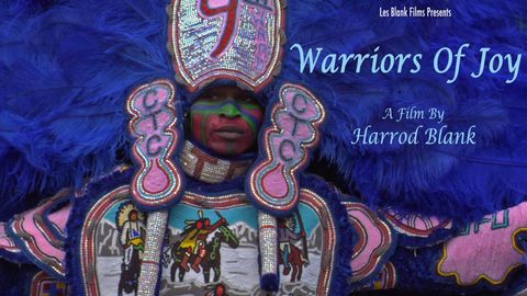 Warriors of Joy cover image cdn