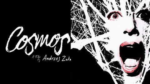 Cosmos cover image cdn