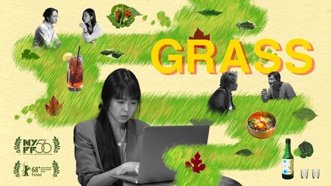 Grass cover image cdn