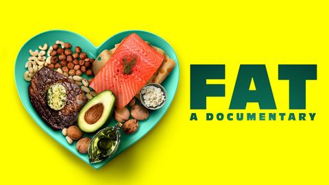Fat: A Documentary cover image cdn