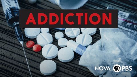 NOVA: Addiction cover image cdn