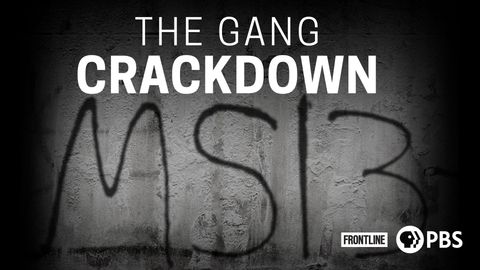 The Gang Crackdown cover image cdn