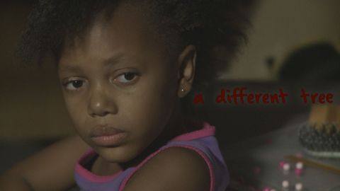 A Different Tree cover image cdn