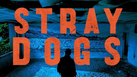 Stray Dogs cover image cdn