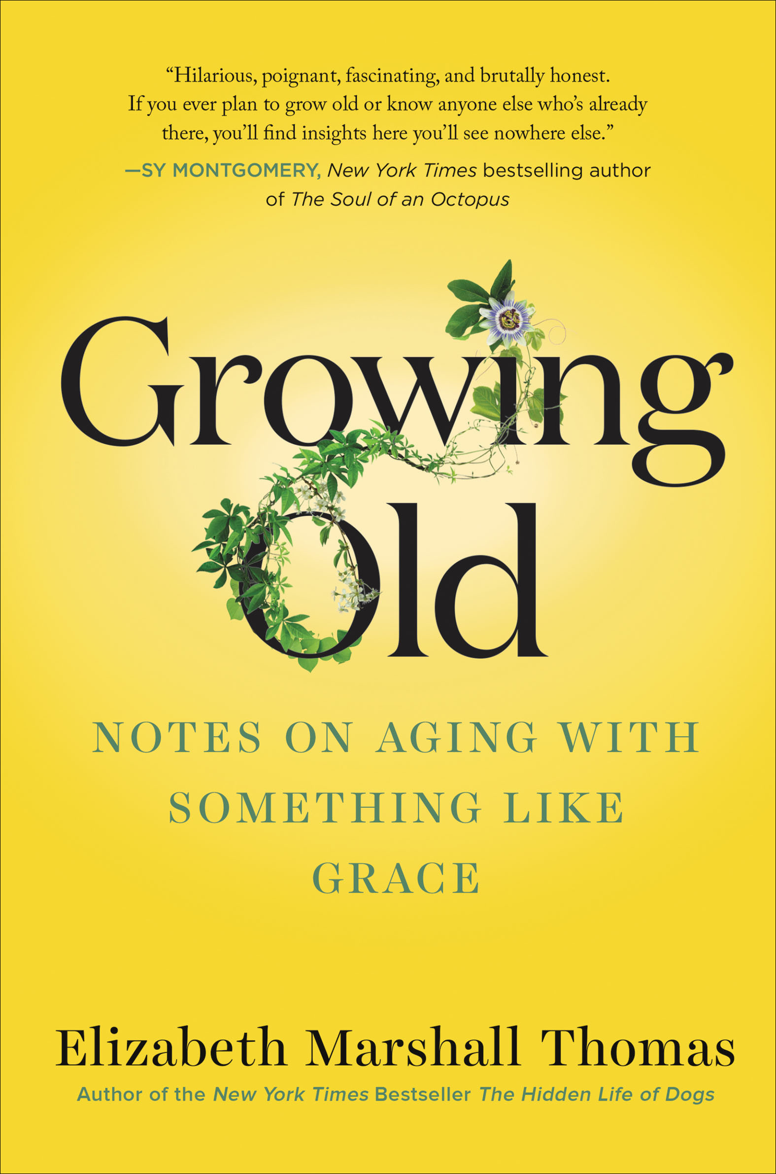 Growing Old Notes on Aging with Something like Grace cover image cdn