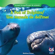 A pod of dolphins / una manada de delfines cover image cdn