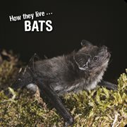 How they live ... Bats : Learn All There Is to Know About These Animals! cover image cdn