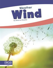 Wind cover image cdn