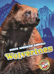 Wolverines cover image cdn