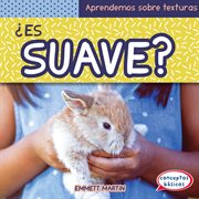 Es Suave? (What Is Soft?) cover image cdn