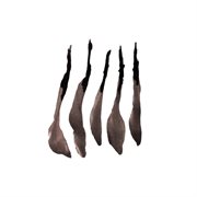 Creeps cover image cdn