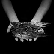 Ornament cover image cdn