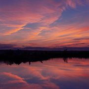 Winter breeze cover image cdn