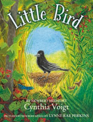 Little bird  cover image cdn