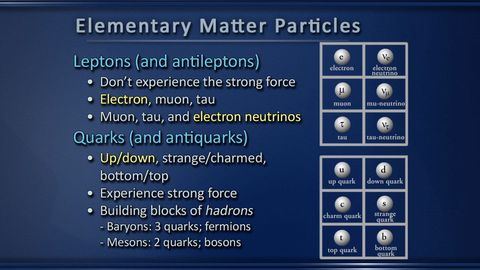 The Particle Zoo cover image cdn