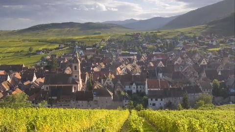 French Regions: Burgundy and Alsace cover image cdn