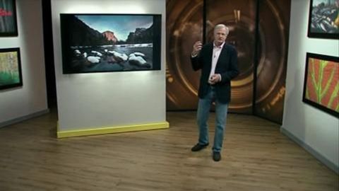 Wait and Work the Shot (Color & Light) cover image cdn