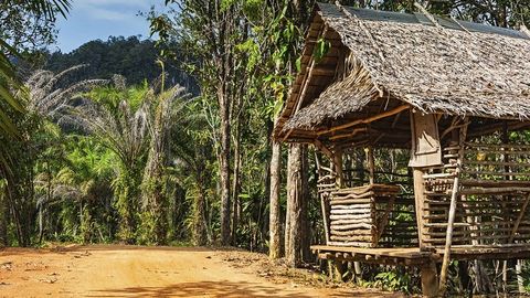 Robinson Crusoe--A Lone Survivor cover image cdn