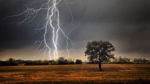 Close Encounters with African Divinities cover image cdn