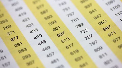 The Joy of Primes cover image cdn