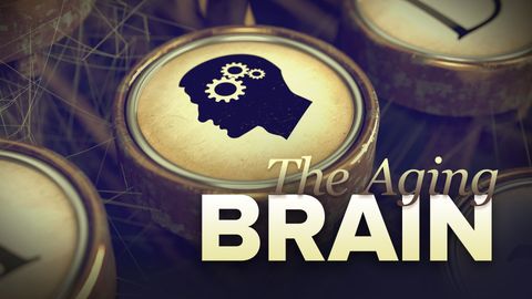 The Aging Brain cover image cdn