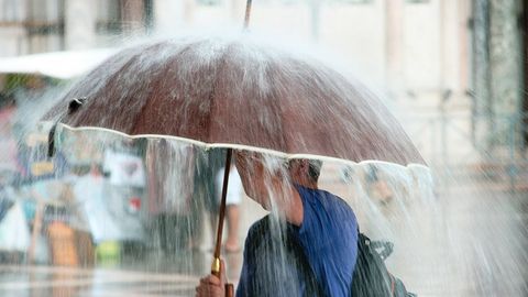 Extreme Humidity, Rain, and Fog cover image cdn