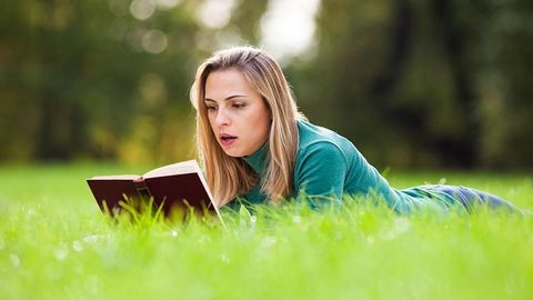 The Unreasonable Essayist: Strategic Irony cover image cdn