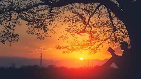 Essayists as Poets: Tapping into Imagery cover image cdn