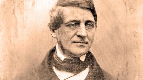 The Essayist as Public Intellectual cover image cdn