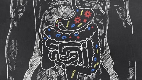 Changing body composition through diet and exercise. Episode 3, How food is digested and absorbed cover image cdn