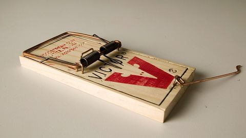 Open-Ended Questions: Setting Traps cover image cdn